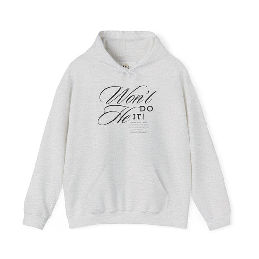 "Won't He Do It!" Unisex Hoodie