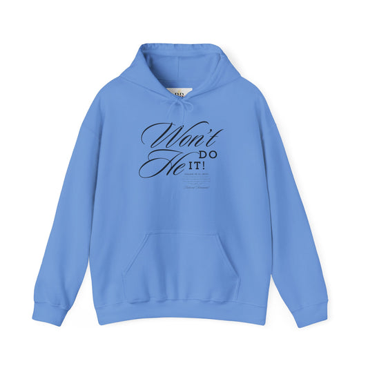 "Won't He Do It!" Unisex Hoodie